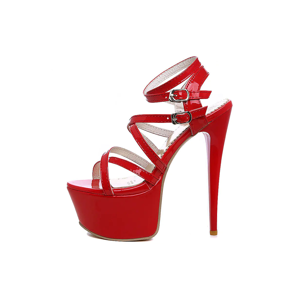 Trendatticstore01_plussize.
