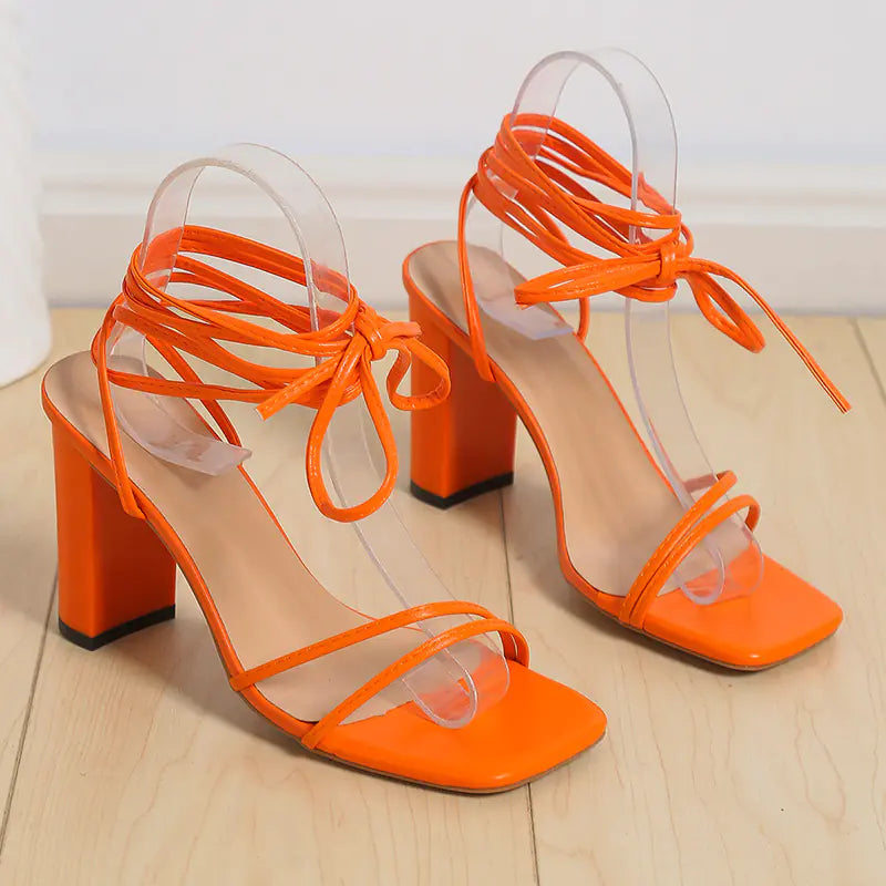 Trendatticstore01_plussize.