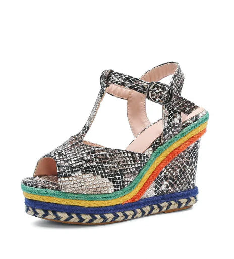 Trendatticstore01_plussize.