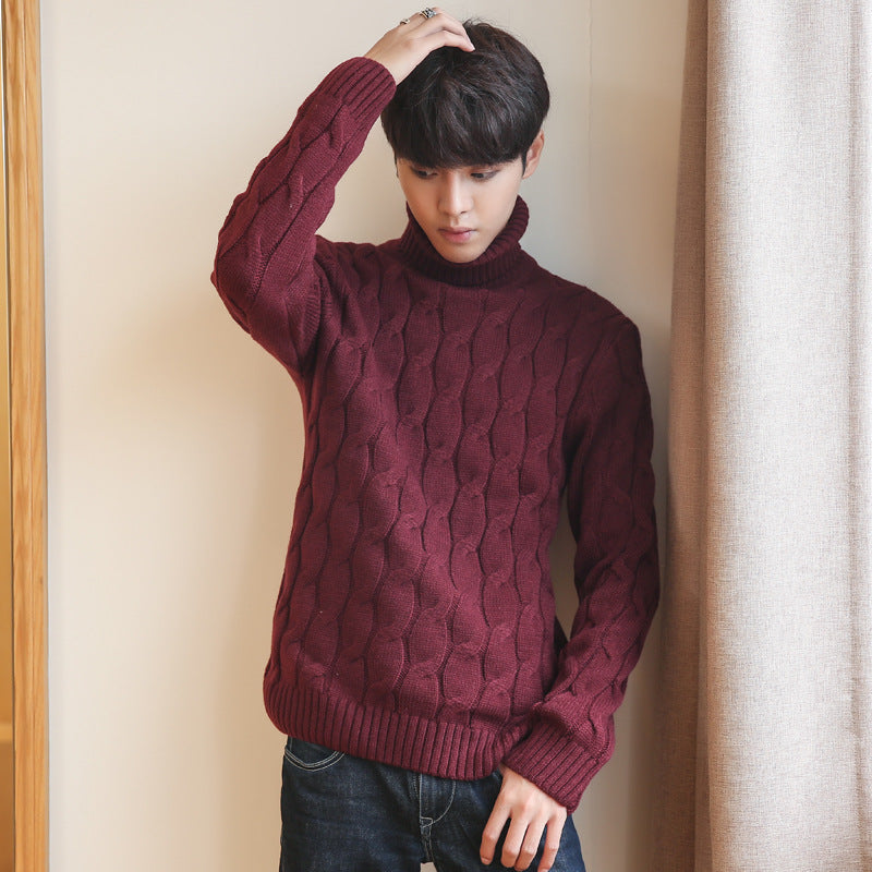Plus Size Men's Winter Padded Turtleneck Sweater