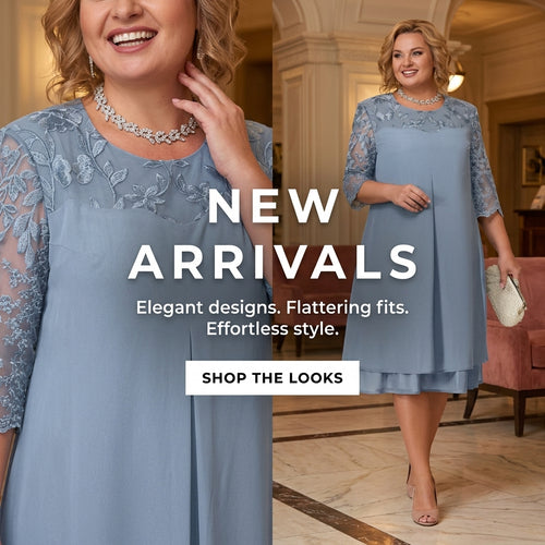 Casual Plus Size Embroidered Chiffon Dress for Women