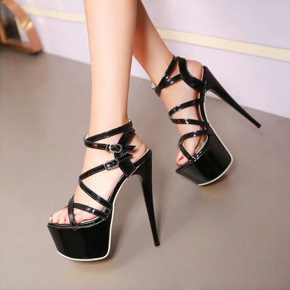 Trendatticstore01_plussize.