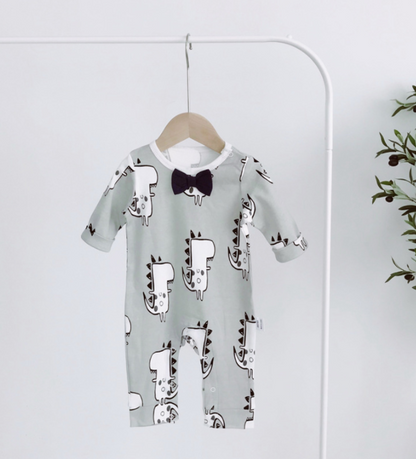 Baby Boy Spring Jumpsuit with Long Sleeves Set