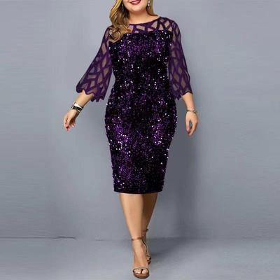 Plus Size Sequin Dress for Birthday Celebrations