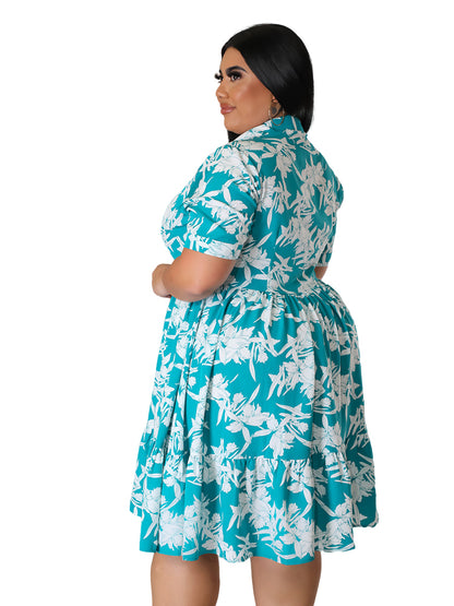 Plus Size Floral Print A-Line Dress for Women
