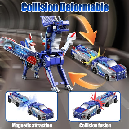 description_selected6
