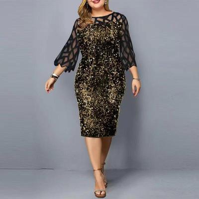 Plus Size Sequin Dress for Birthday Celebrations