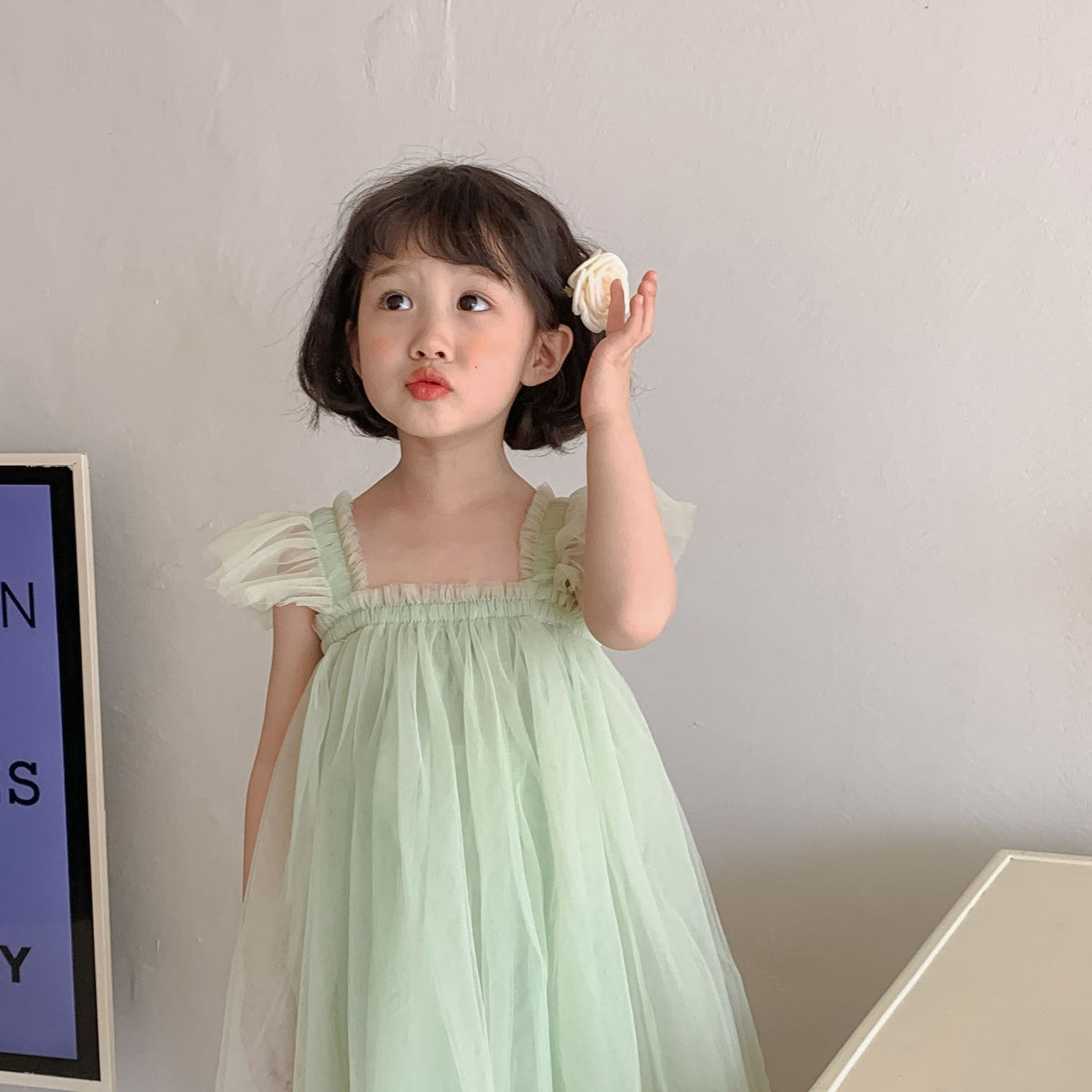 New Girls' Fleece Sleeve Tulle Dress