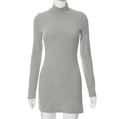 Women's Casual Long Sleeve Dress  Fall/Winter