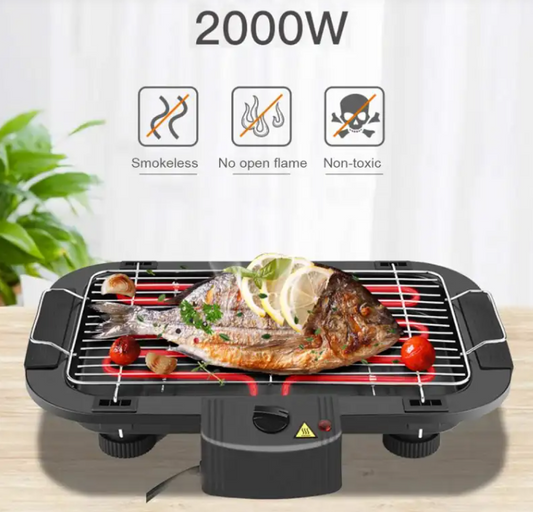 Smokeless Electric Euro Grill