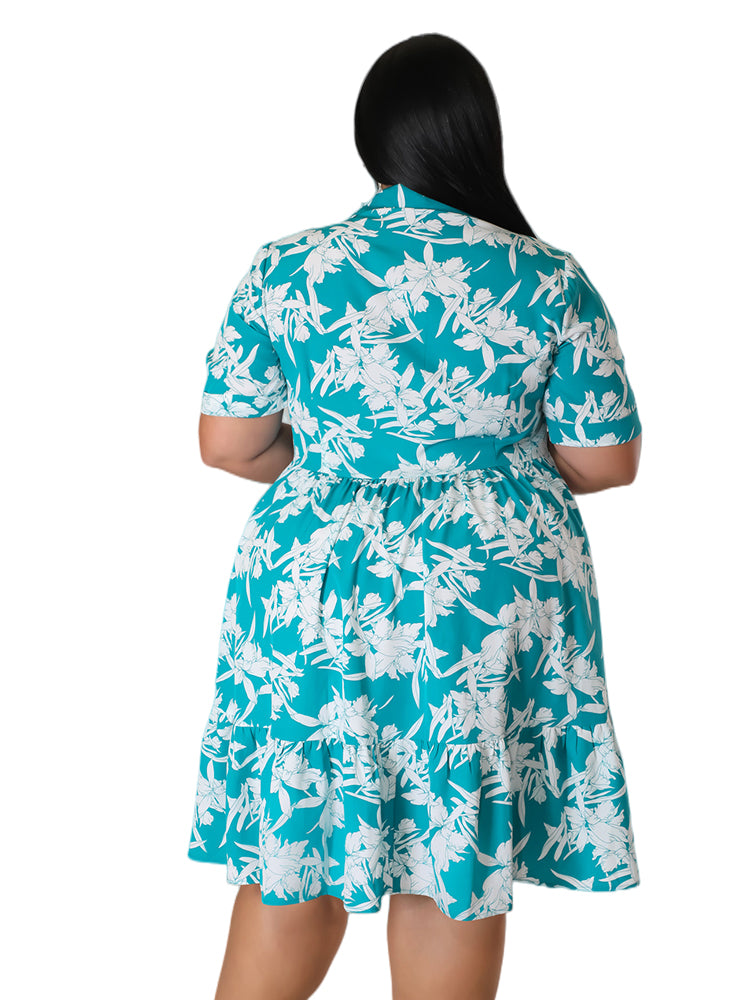 Plus Size Floral Print A-Line Dress for Women
