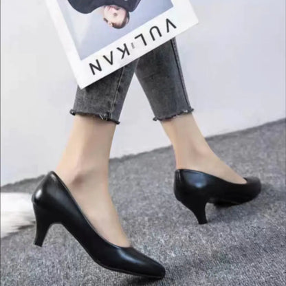 Pointed Toe and Flat Work Shoes for Women in Black/Nude