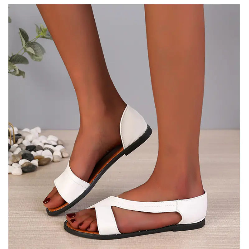 Trendatticstore01_plussize.