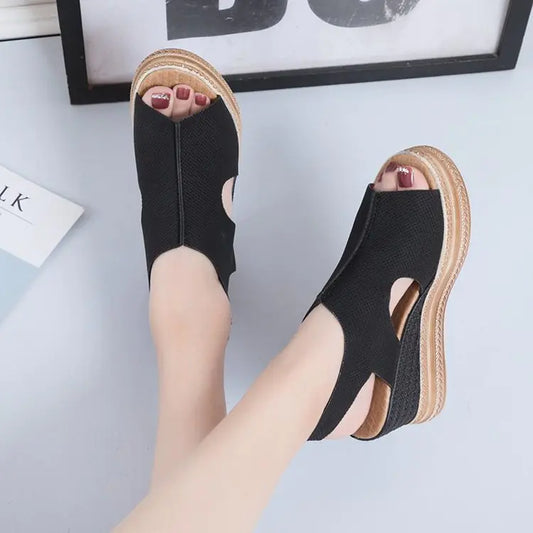 Trendatticstore01_plussize.