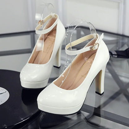 Trendatticstore01_plussize.