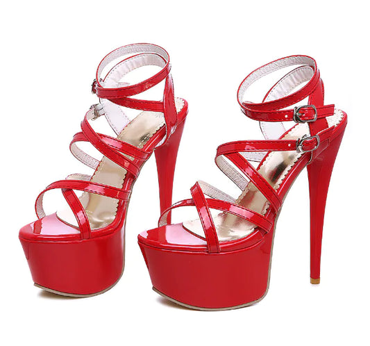 Trendatticstore01_plussize.