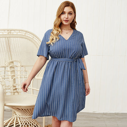Plus Size Designer Dress with Stripes