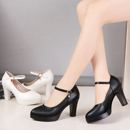 Pointed Toe Chunky Heels for Women
