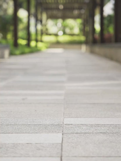 Breathable Arch Sneakers Lightweight Cushioned AllSeason Comfort